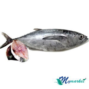 Ikan Tongkol Hitam (1 Ekor) 900gm-1kg