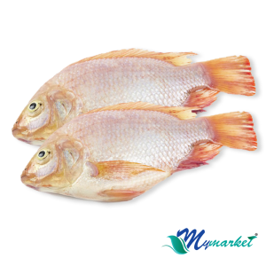 Ikan Talapia Merah (2 Ekor) 700gm
