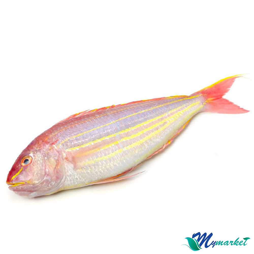 Ikan Kerisi 500g